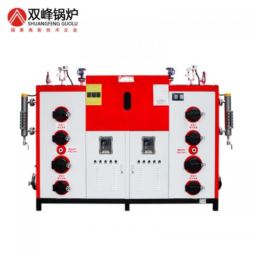 生物質蒸汽發生器600公斤